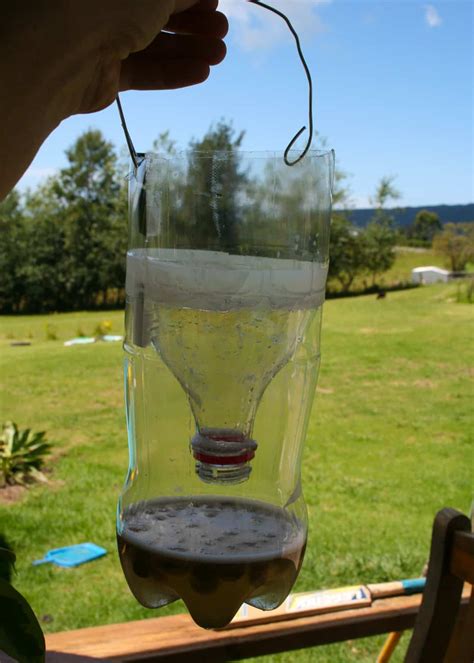 fly getter recipe|homemade home fly trap.